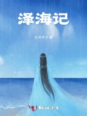 泽海机械佛山