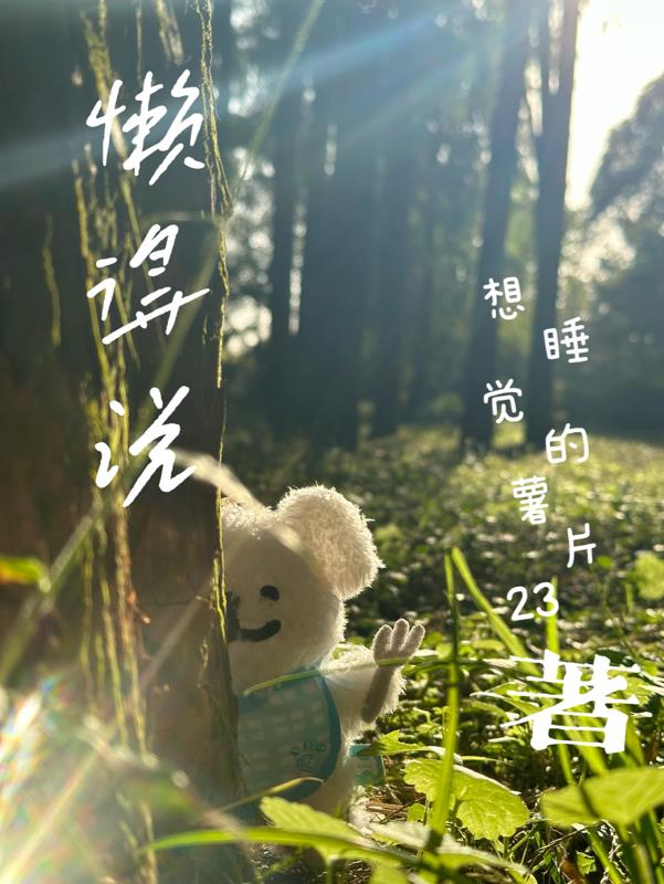 懒得说