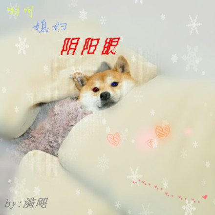 玉环小飞鱼游泳馆