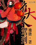 崔大人驾到袖唐完结