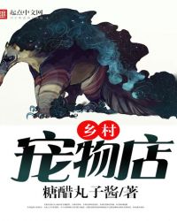 乡村宠物诊所